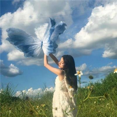 女王蜂游戏